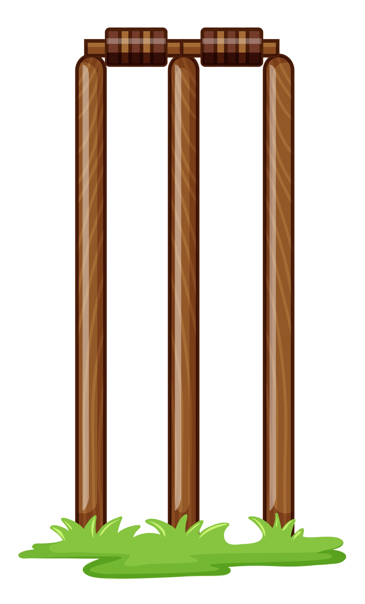 A cricket stump